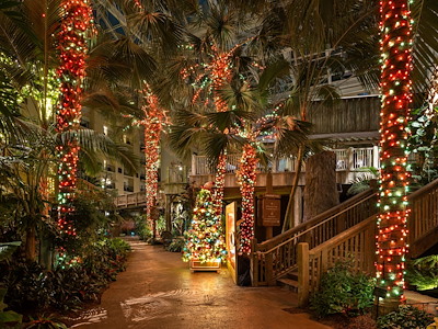Christmas Light Show in Orlando | Christmas at Gaylord Palms