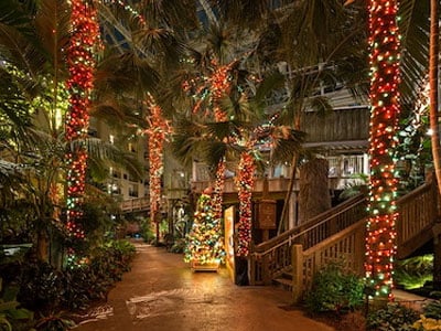 Christmas Shows and Activities in Orlando | Christmas at Gaylord Palms