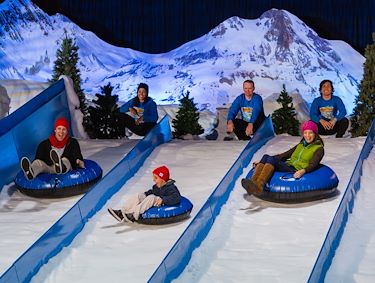 Gaylord Palms Resort & Water Park - ICE! OFFER: Tonight, our time will FALL  BACK so we're letting our ICE! price FALL BACK, too! Save 25% off tickets*  purchased by Nov. 8